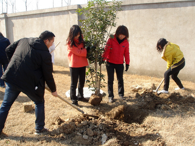 2011公司开展义务植树庆“三八”活动