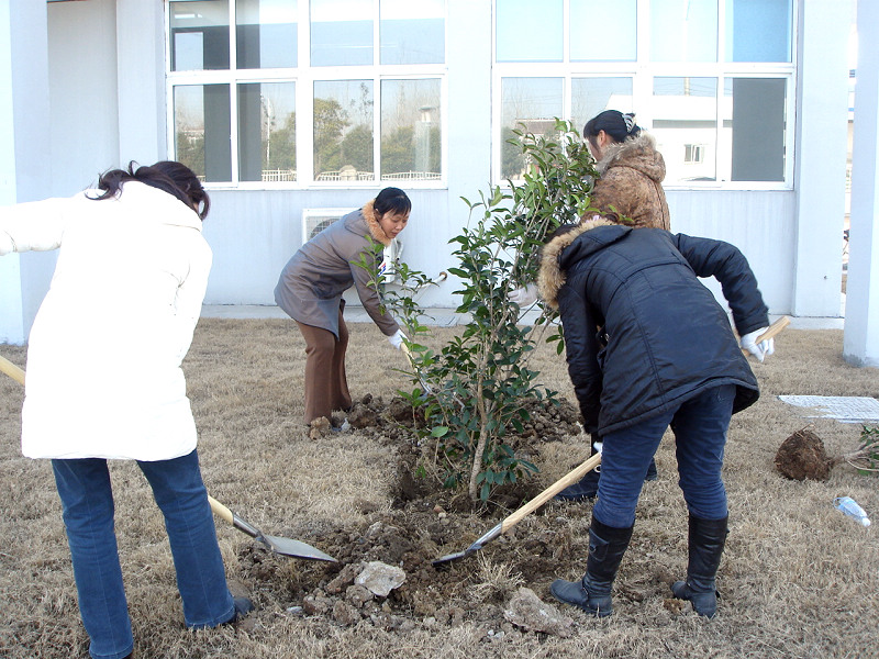 2011公司开展义务植树庆“三八”活动